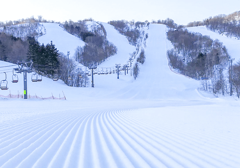 氷河期の大石器工房 ピリカ遺跡新泉社