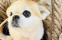 渡辺翔太✨しょっぴ