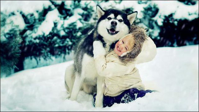 大切な親友が導いてくれた愛犬との縁。そして、犬友達と紡ぐ充実のドッグライフINUMAG イヌマグ