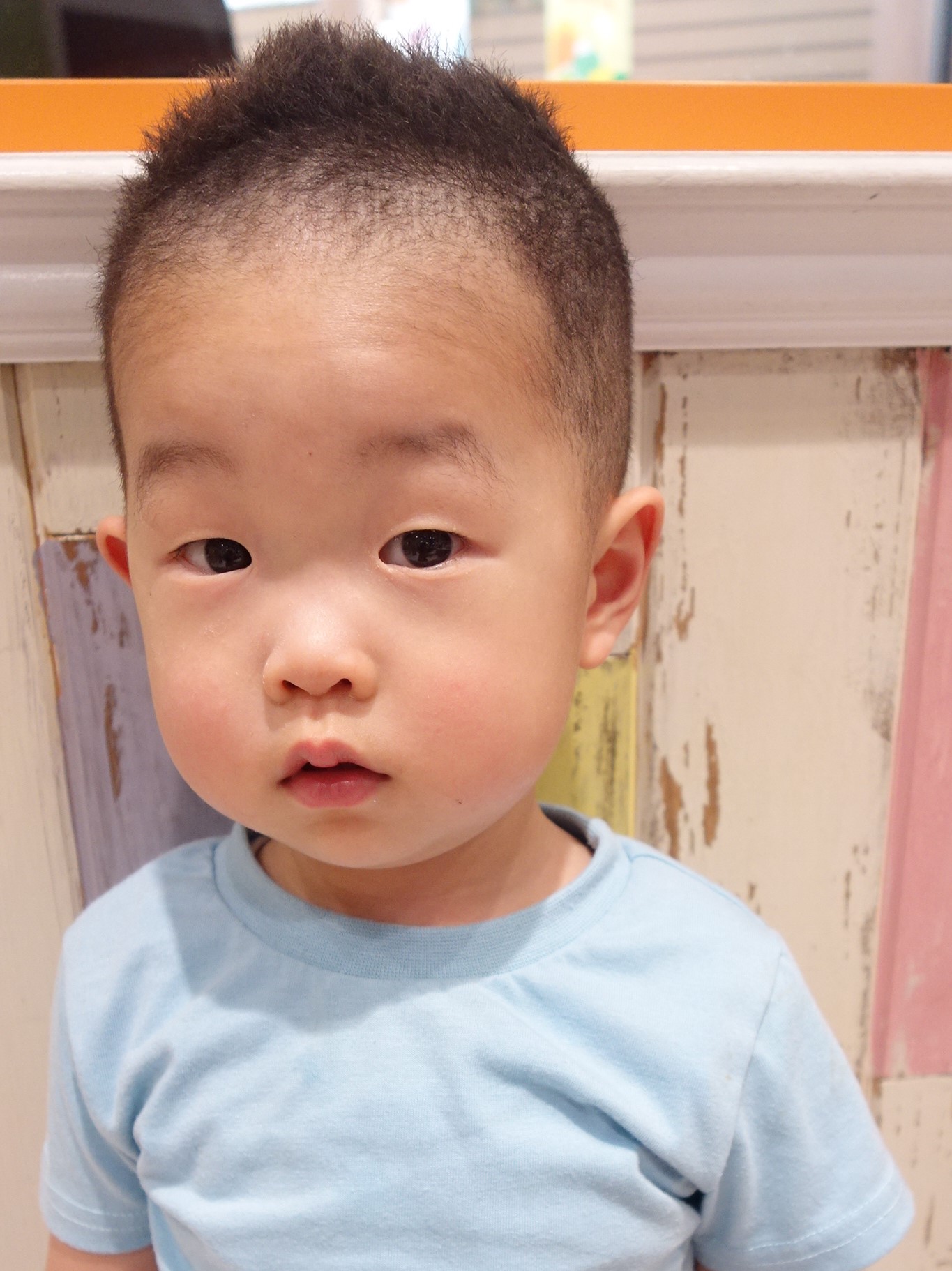 髪は神？―モンゴルの子どもの断髪式―世界マザーサロン