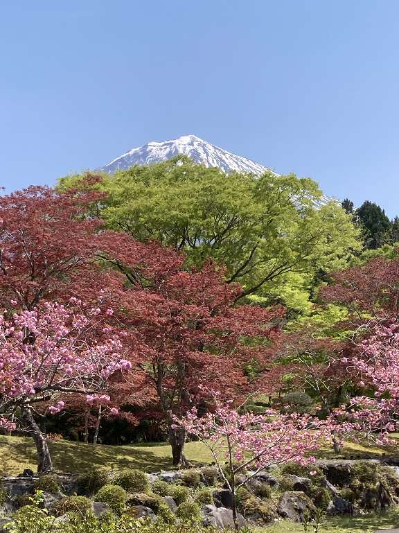 富士宮市営 朝霧霊園 富士宮市 の費用・交通アクセス・お墓の詳細情報無料で資料請求 ライフドット公式