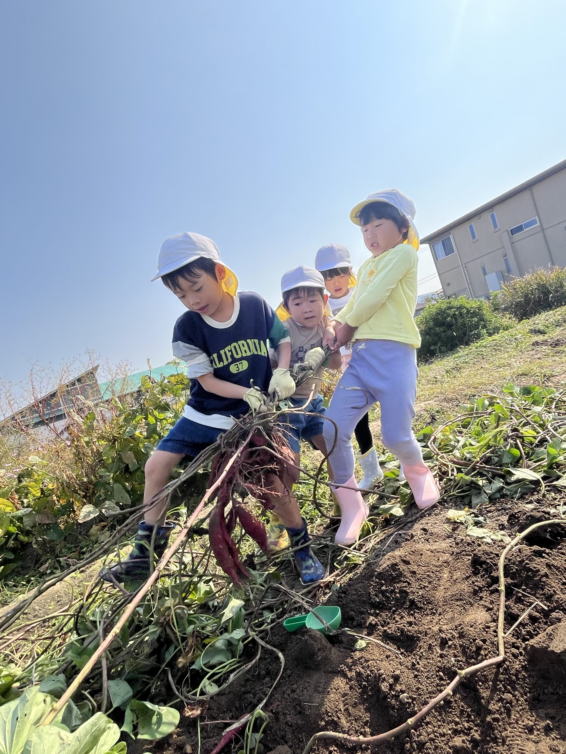 ゆり組社会福祉法人コスモス会 大橋保育園