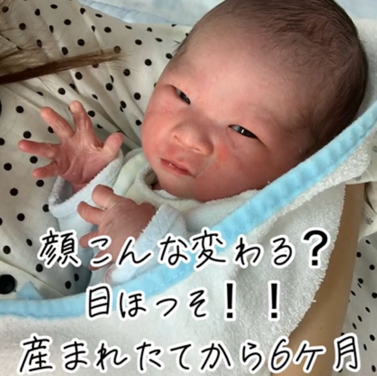 面白い顔のあかちゃんの写真素材71746268- PIXTA