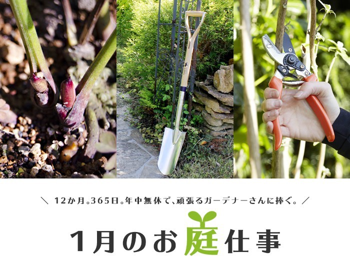 新潟市秋葉区で作庭したお庭がカレンダーになっていました! – お知らせ– ガーデンスタジオ雅楽庭・新光園 – 新潟の庭 ・ガーデニング＆外構・エクステリアデザイン工事