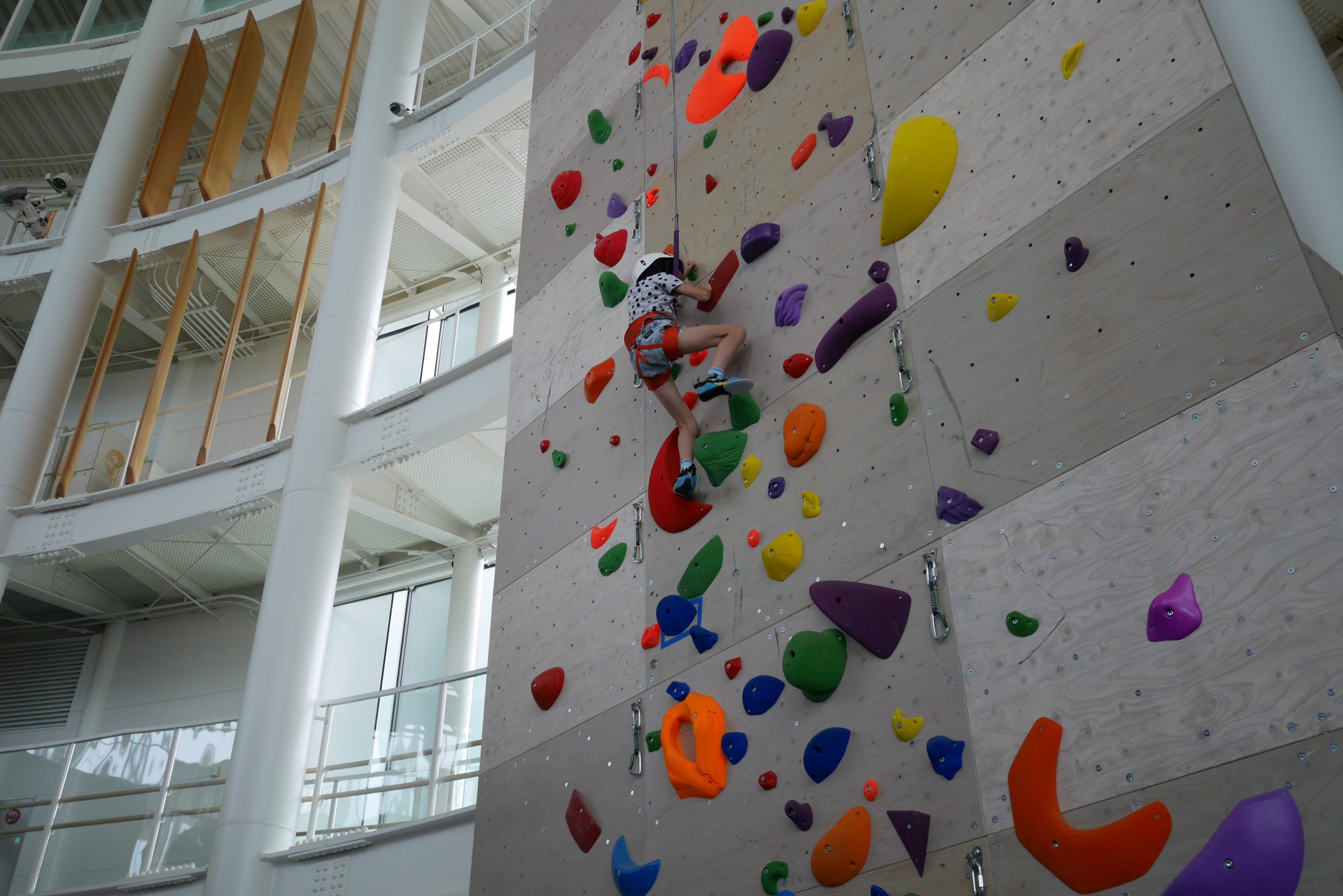 多彩なスポーツ 家族連れら満喫 岡山でフェス、ボルダリングなど：山陽新聞デジタルさんデジ