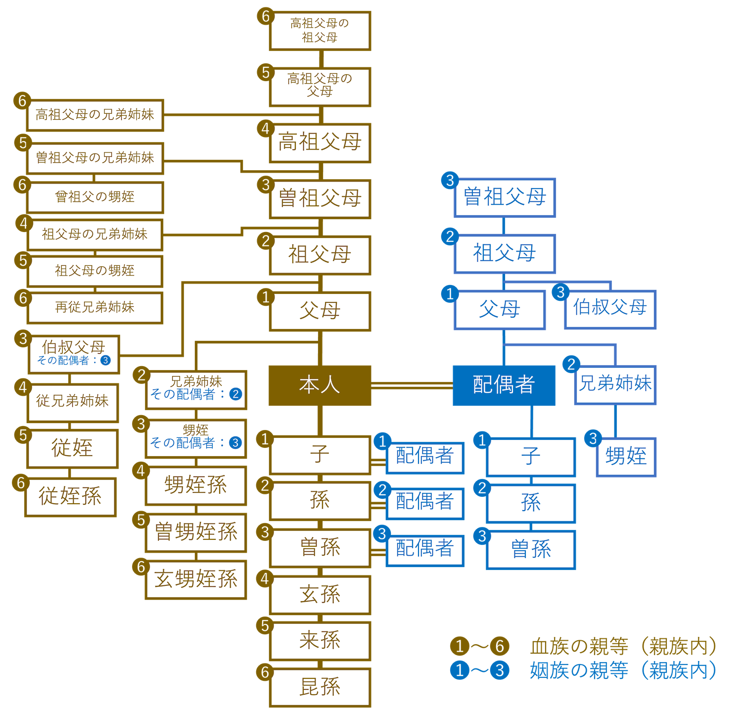 親族 シンゾク とは？ 意味や使い方 - コトバンク