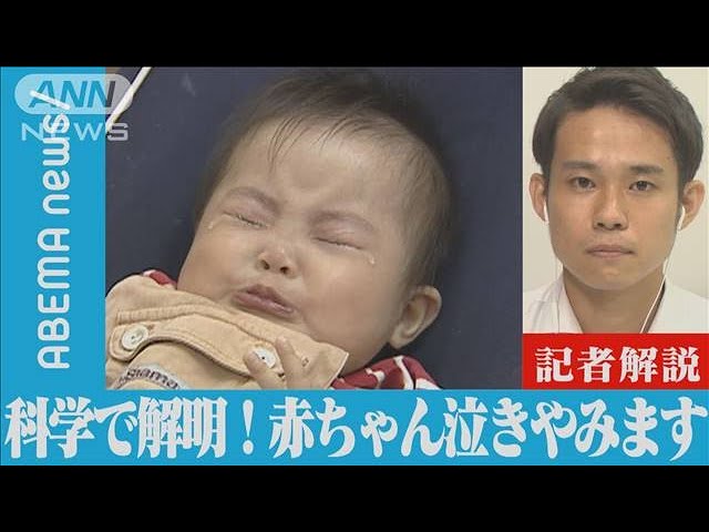 赤ちゃんのギャン泣きに悩むママは7割以上!先輩ママに対処法を聞きました - 株式会社エバーセンス