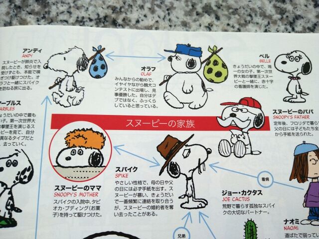 主人公を食った“名脇役”スヌーピーが70年愛されるワケ 日本独自の戦略で人気継続オリコンニュース ORICON NEWS