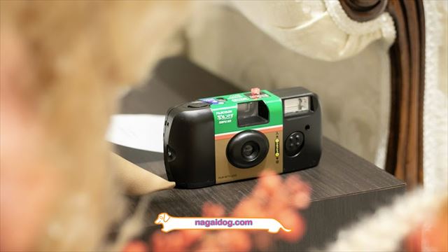 実はもう1つある感」写ルンですでも、撮ったんです。 続 富士フイルムのカメラで、友人の結婚式・披露宴を撮った話。 - No.26