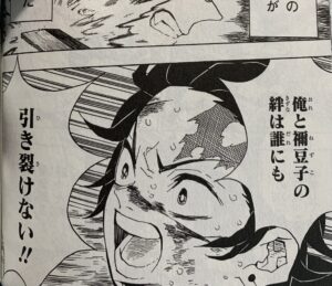 鬼滅の刃、第一話の謎。竈門家はなぜ鬼舞辻無惨に襲われたのか鬼滅なび