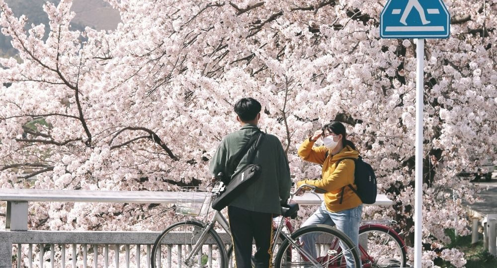 恋愛科学 散歩デートで絆が2倍に！？カップルカウンセラーが教える