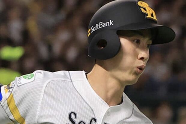 周東佑京可愛い！猫と子供抱っこの楽しい瞬間を共有する