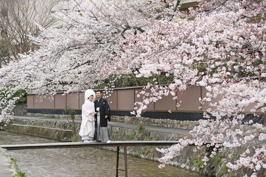 人気 桜シーズンのフォトウエディング