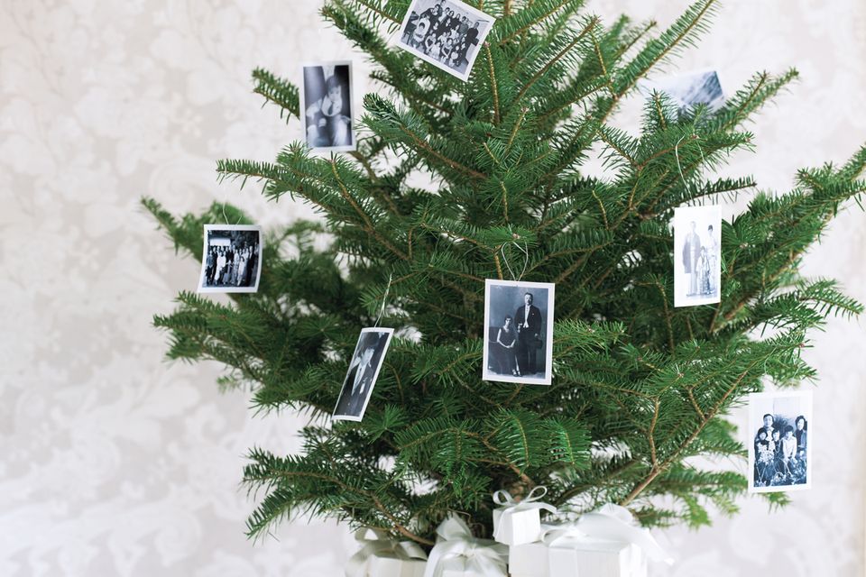 家庭用のクリスマスツリーのレンタルサービスはあるの？借りれない時はどうする