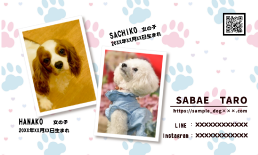 ペット名刺kamittell