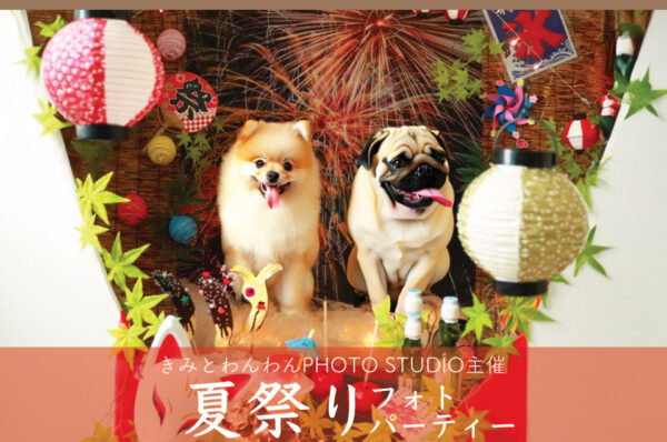 犬の生活 クリスマス撮影ブースＷチワックス 「きりとび流」