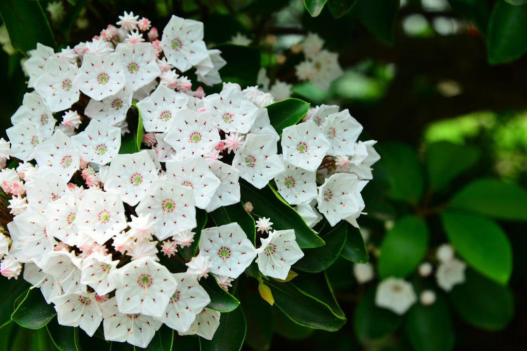 ぐーぴたっ 公式on X: 