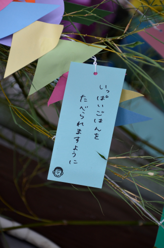 七夕のお願いごとトツキトウカ～高齢出産奮闘記～