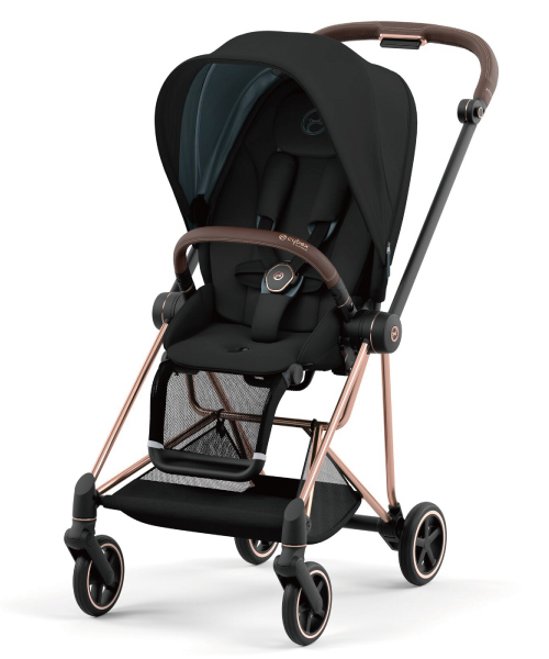 ベビーカーマニアがおすすめする海外製のAB型兼用ベビーカー渡辺真由子のfavlist