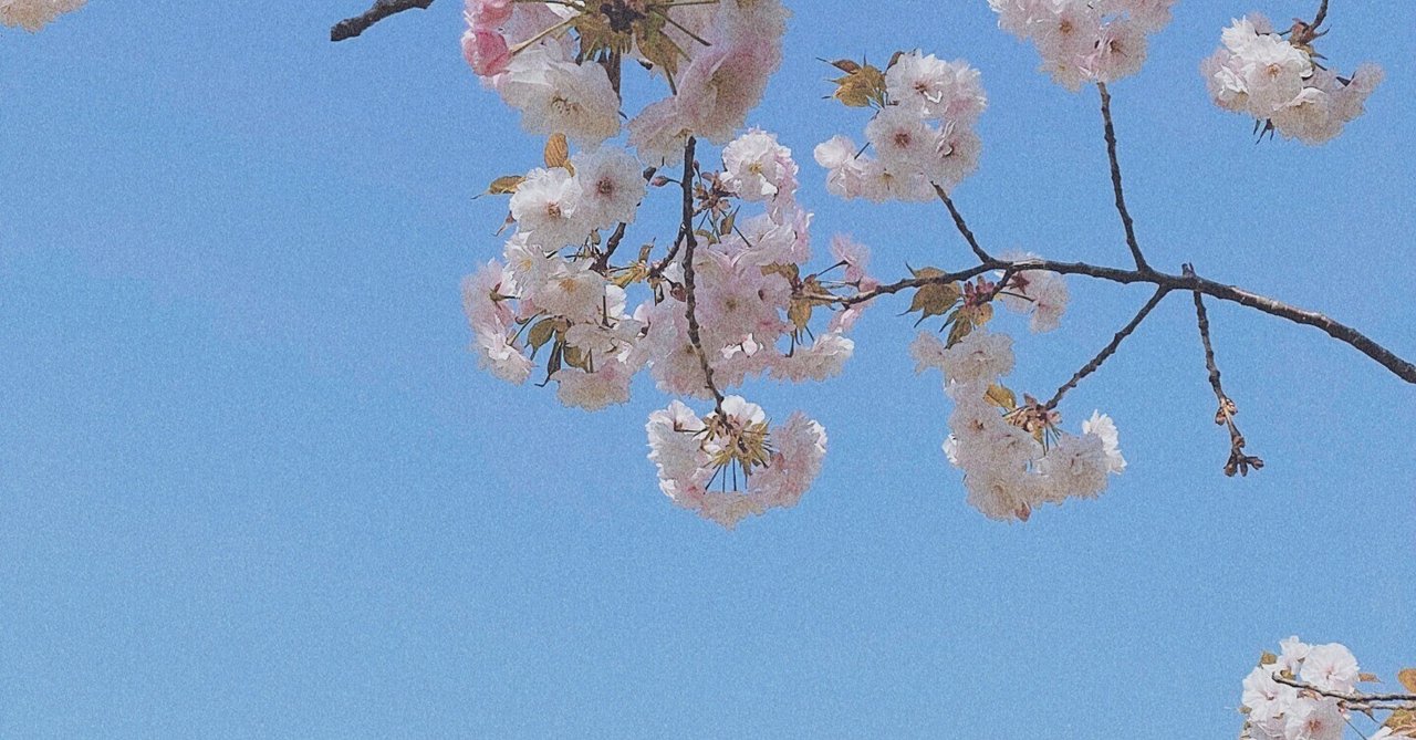 月収300万→10万円に激減 30歳人気女性ブロガーが明かす、突然の悲劇ページ 2bizSPA