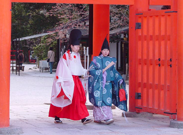 京都の地に可愛い巫女さん再び？ 京都大神宮に再び参拝してきました。 - K's Station