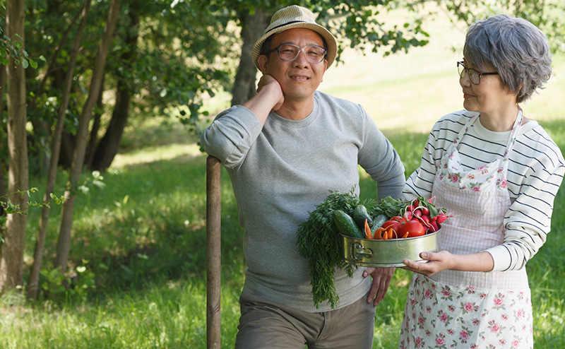 中年夫婦の趣味時間 Okibi Lifeの唄 by VOICEVOX