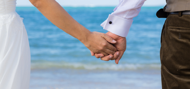 15歳差の熟年カップル誕生か？ リーアム・ニーソン＆パメラ・アンダーソンに交際報道ムビコレ映画・エンタメ情報サイト