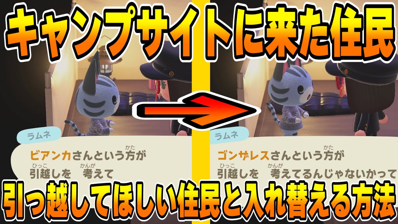 あつ森 キャンプサイトにジュン君が来た！お部屋がお洒落すぎる。okite asobe