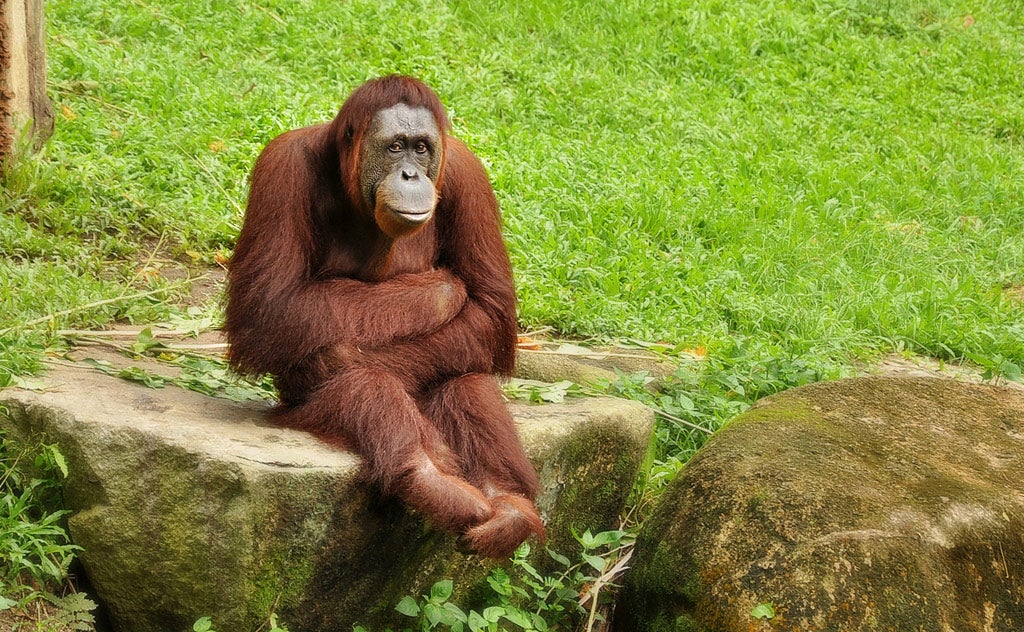 女っぽい男はモテる？モテない？中性的男子の恋愛事情と相性の良い女性タイプを徹底解説