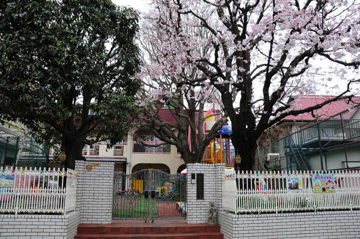 樫の実幼稚園 武蔵野市吉祥寺東町