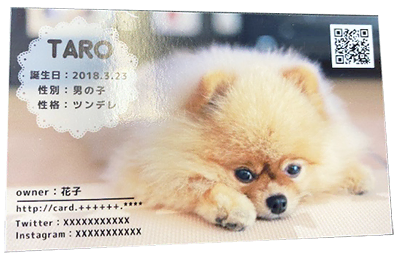 ペット名刺 校正無料 写真切抜無料 レビュー最多 豊富な実績 大好きなペットの写真を入れることができます 多頭対応OKうちの子名刺 送料無料 :紙ってるYahoo!店 - 通販 - Yahoo!ショッピング