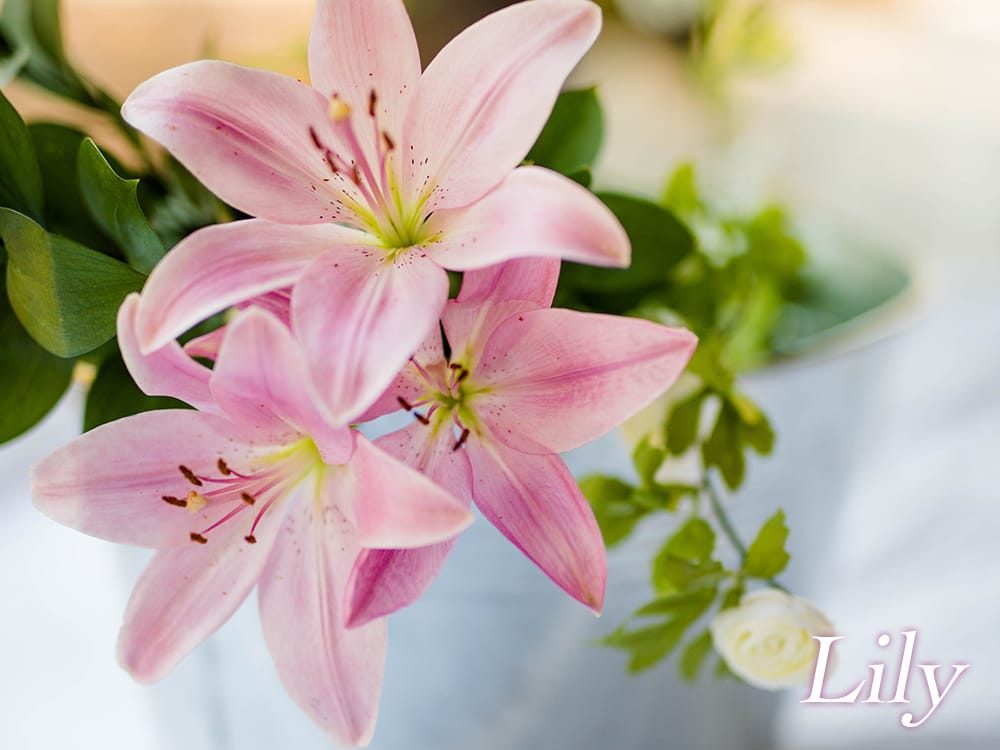 花束 ブーケ 完成品 ユリ クラッチ 造花 ディスプレイ インテリア 白 ウェディング 結婚式 人気 お洒落 ウェディングブーケ 海外挙式 2次会 -アトリエブルージュ・flower shop - プレゼント＆ギフトのギフトモール