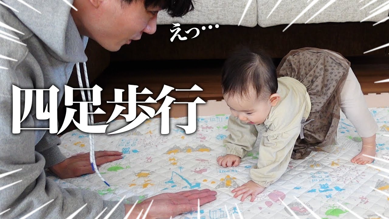 お座りの前にはいはい？５ヶ月ベビーの順調な発育アフロと転勤妻