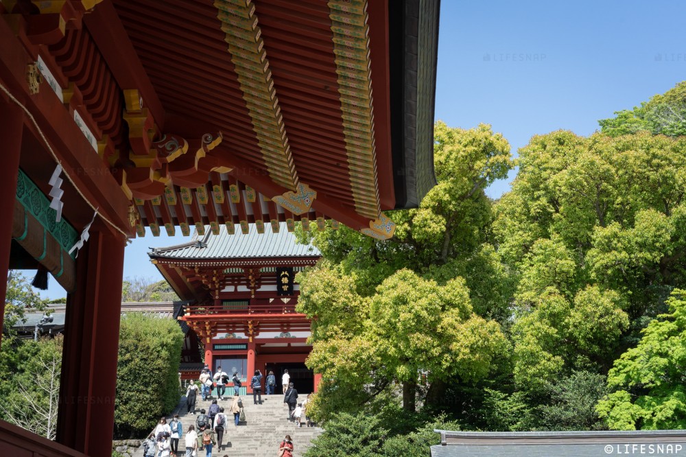 七五三の記念撮影。鎌倉の鶴岡八幡宮で家族みんなでお参りに。大切な成長の記録。結婚式写真、前撮り 、コマーシャルフォト、ムービーなら神奈川県横浜市のインプルーブ