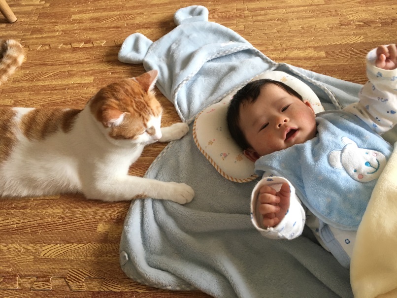 猫と赤ちゃんが仲良しになった結果 少しでも触れていたいと『寄り添って眠る姿』が尊すぎると138万再生「優しい時間」「動悸が」の声 - ライブドアニュース