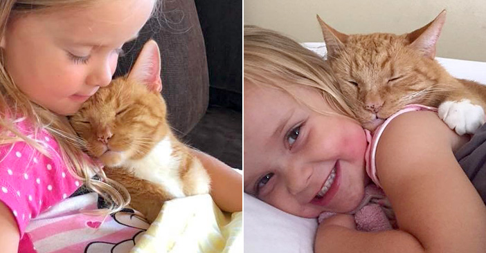 気分屋が一変! マイペースな猫が赤ちゃんを見守るわけねこのきもちWEB MAGAZINE