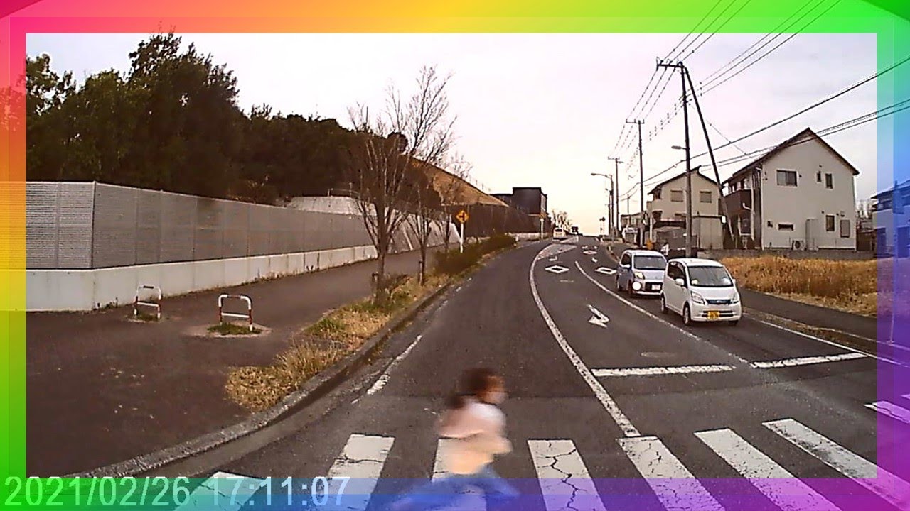 歩道 車 おばあちゃんTikTok