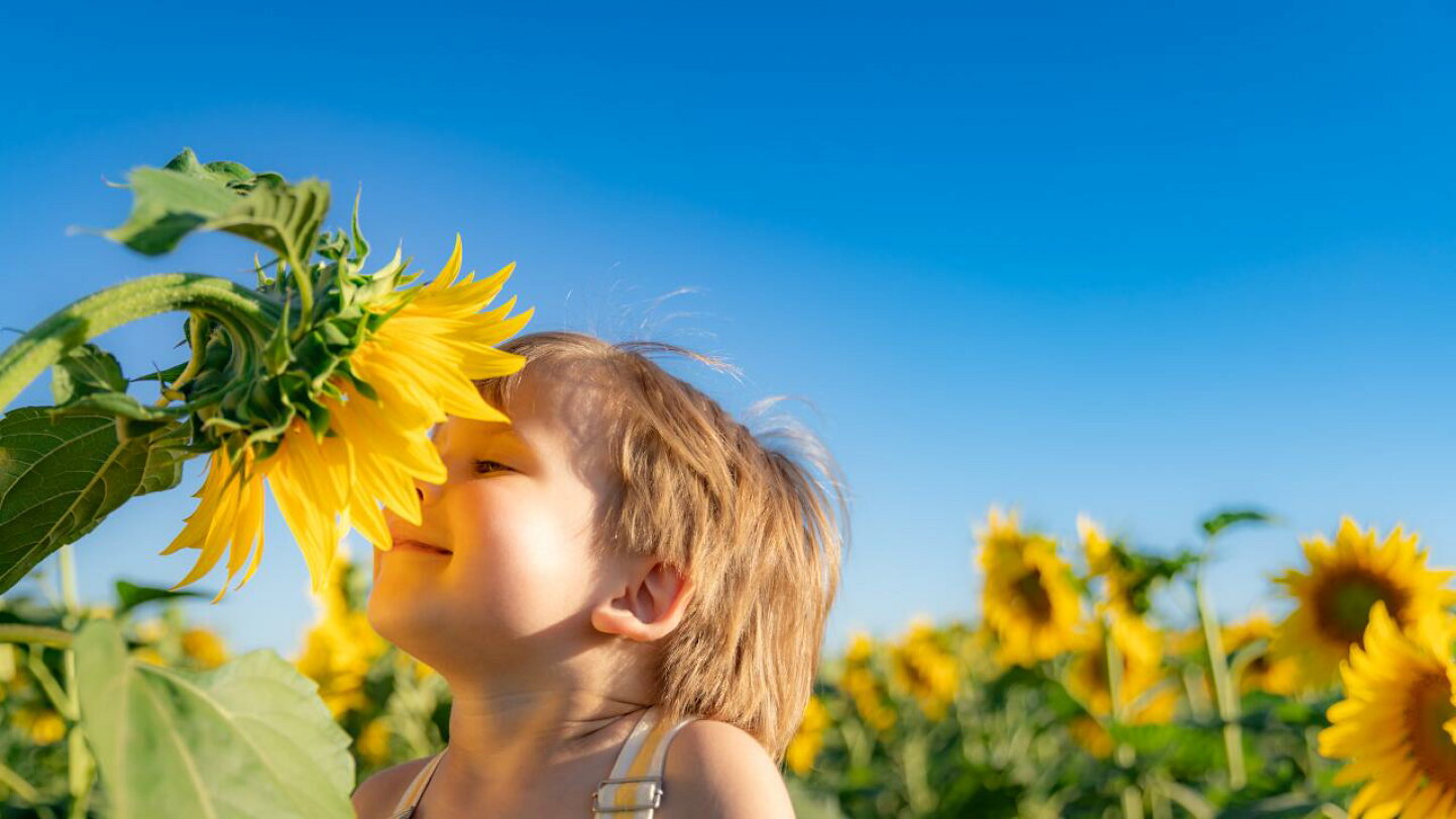 赤ちゃんの頭が臭いのはなぜ?対策とおすすめのシャンプー6選FELICE フェリーチェ