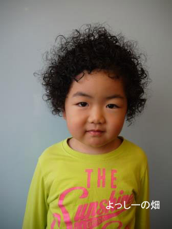 オススメ順 キッズ ボブの髪型・ヘアスタイル楽天ビューティ