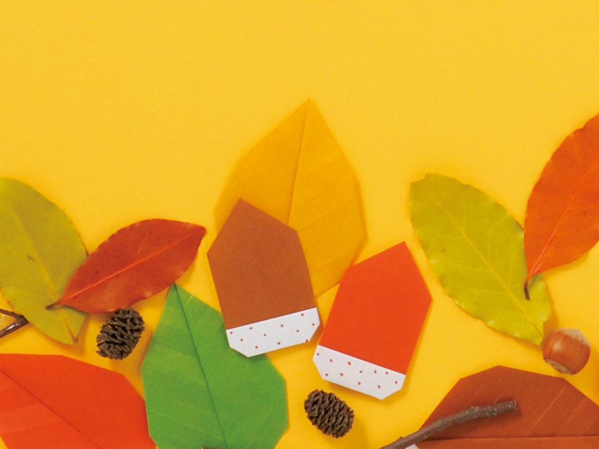 どんぐりケーキの作り方〜自然を楽しむ手作りおもちゃ 秋の工作 保育士・幼稚園教諭のための情報メディア ほいくis ほいくいず