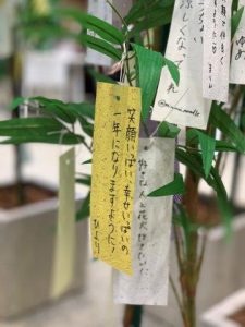 七夕とは？ 7月7日 〜子どもに伝えやすい行事の歴史や由来、過ごし方アイデア〜保育と遊びのプラットフォーム ほいくる