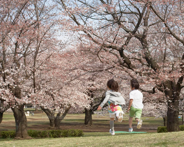 後悔しないために！撮っておきたいランドセル×桜フォトおすすめショットをご紹介 - happy moon