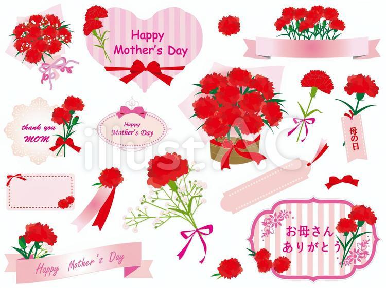 母の日に贈るカーネーション特集2025プロのお花屋さんが厳選！フジテレビフラワーネット