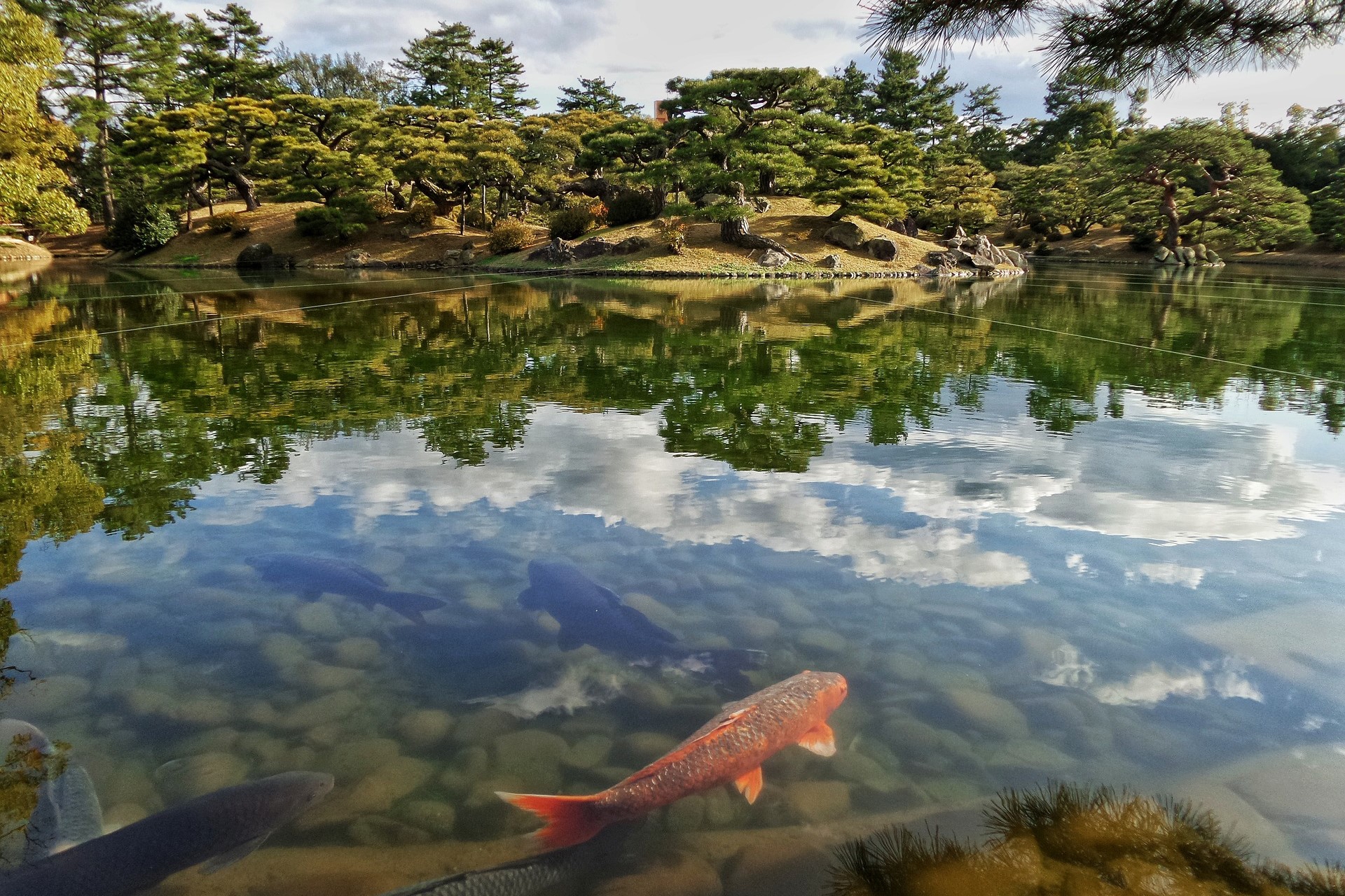 團 伊玖磨History of music