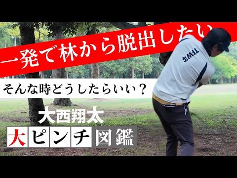 大西翔太ATHELETEEYEVOL