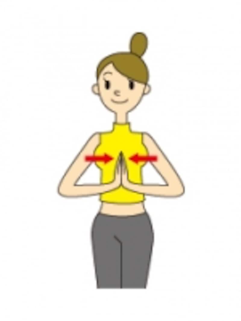 バストアップの成功は「大胸筋」を部位ごとにシェイプアップ!効果的なトレーニングメニューを紹介!WELLGOOD心と体をちょっと豊かに。最新のウェルネス情報をお届け