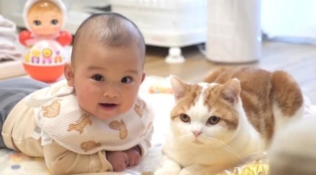 アタフタしてるの可愛すぎる🥹🫶,猫のいる暮らしねこのいる生活赤ちゃん赤ちゃんのいる生活赤ちゃんのいる暮らし赤ちゃんと猫赤ちゃんと猫のいる暮らしベビスタグラムべびすたぐらむ生後3ヶ月猫子猫ねこスコティッシュフォールド茶トラにゃんグラムにゃんすたぐらむねこすたぐらむねこ部猫部ねこら部親バカ部