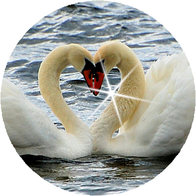 ペア画」のアイデア 11 件ペア画 ディズニー, 画, ペア 画 イラスト