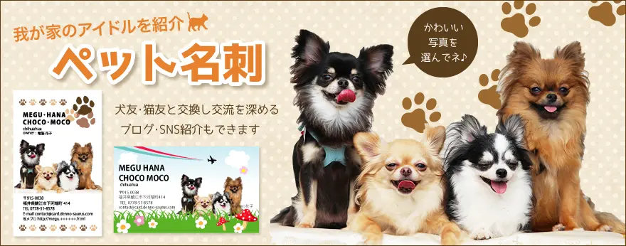 ペット名刺のもふり堂