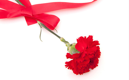 楽天市場 2025 母の日 ギフト花色が選べる 母の日 カーネーションアレンジ母の日 母親 お母さん おばあちゃん 祖母 カーネーションフラワー アレンジメント 送料無料 ギフト スイーツ 和菓子 セット プレゼント 花 ピンク イエロー オレンジ レッド: 花ギフト